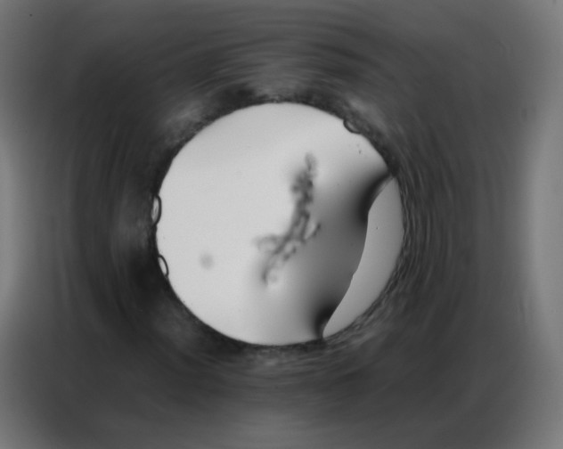 X0000086791012200705041544