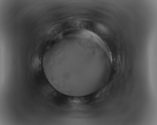 X0000086791013200705041544