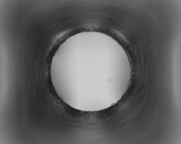 X0000086791016200705041544