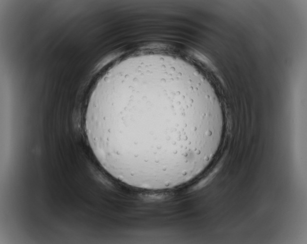 X0000086791017200705041544