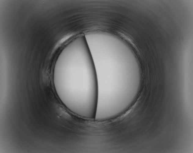 X0000086791018200705041544