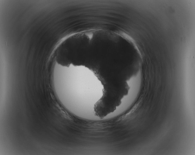 X0000086791019200705041544