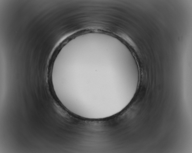 X0000086791020200705041544