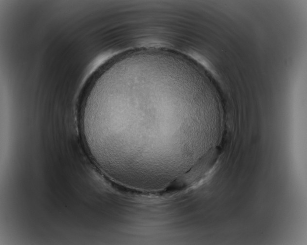 X0000086791022200705041544