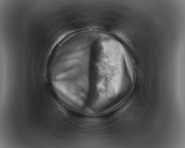 X0000086791023200705041544