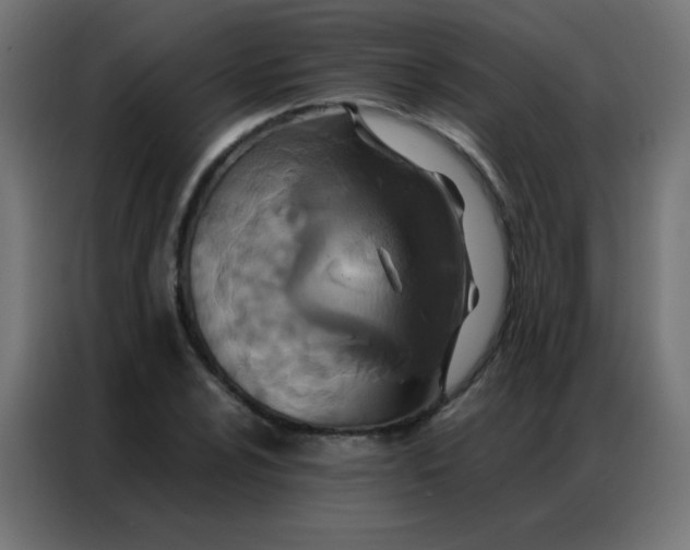 X0000086791024200705041544