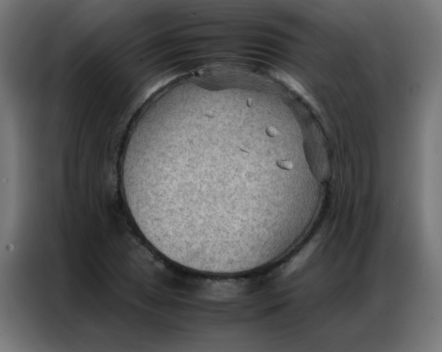 X0000086791025200705041544