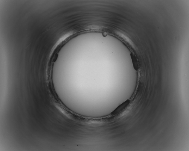 X0000086791026200705041544