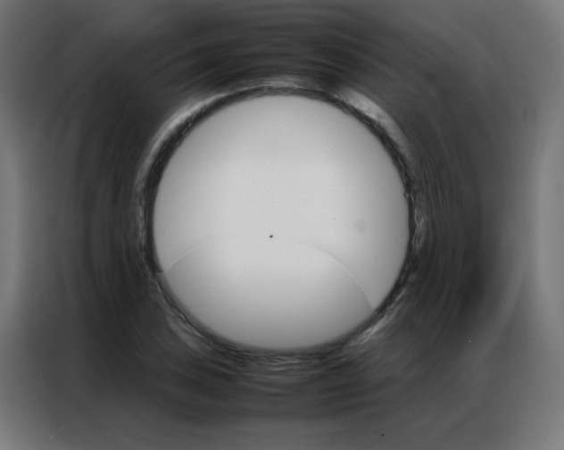 X0000086791027200705041544