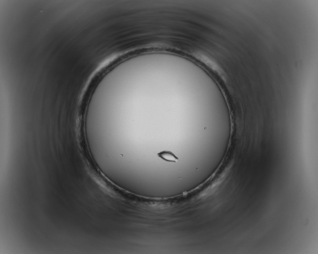 X0000086791029200705041544