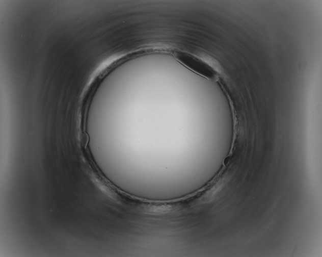 X0000086791030200705041544