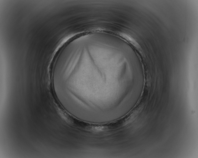 X0000086791031200705041544