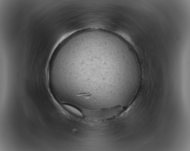 X0000086791032200705041544