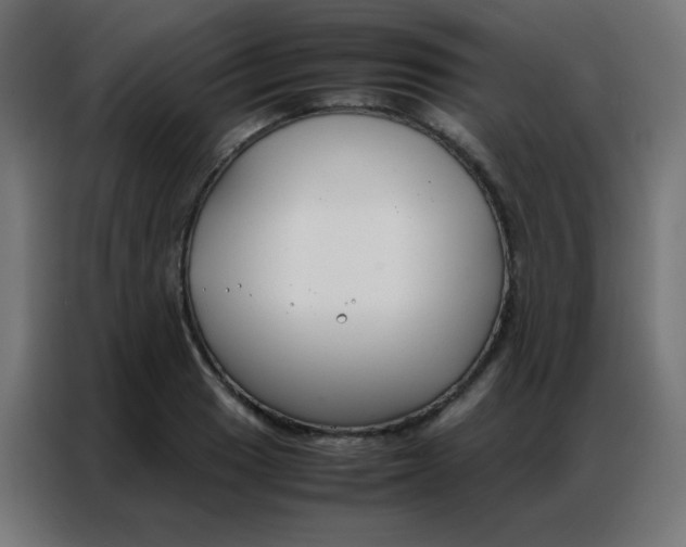 X0000086791033200705041544