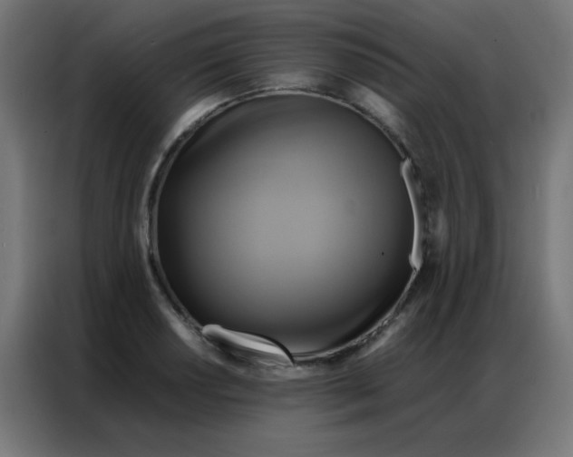 X0000086791034200705041544