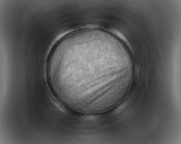 X0000086791035200705041544