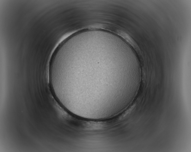 X0000086791036200705041544