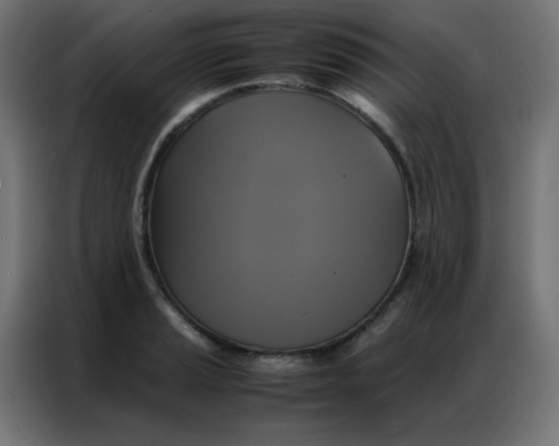 X0000086791037200705041544