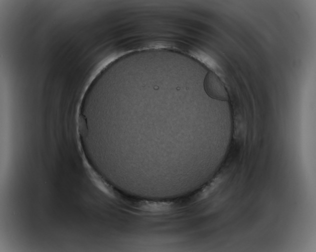 X0000086791039200705041544