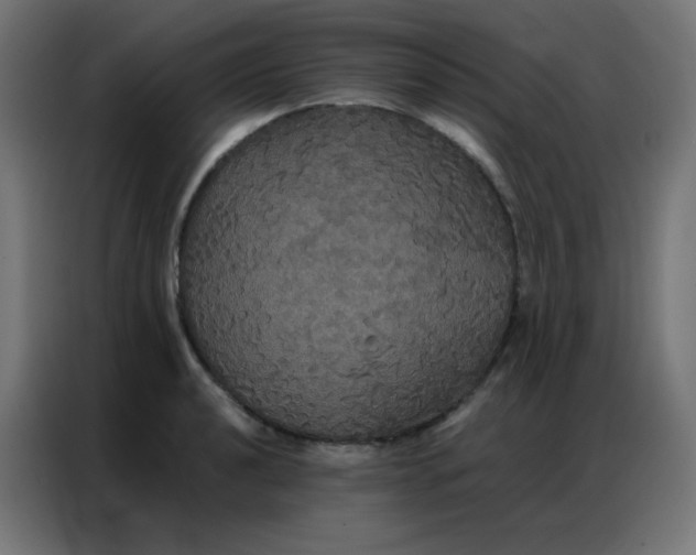 X0000086791040200705041544