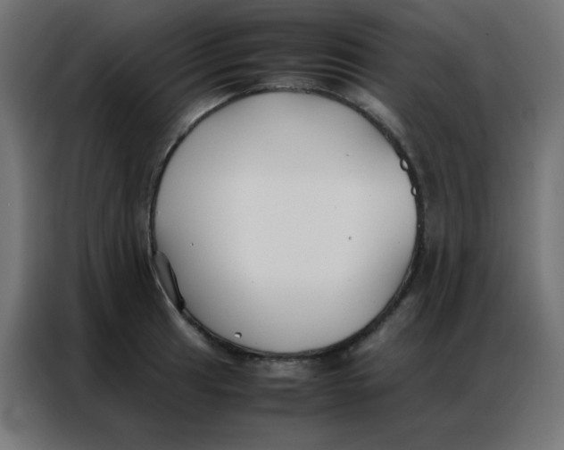 X0000086791041200705041544