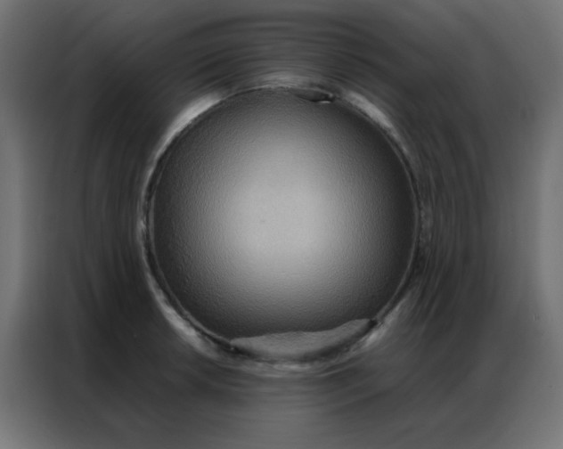 X0000086791042200705041544