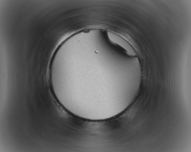 X0000086791044200705041544