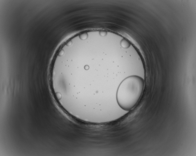 X0000086791045200705041544