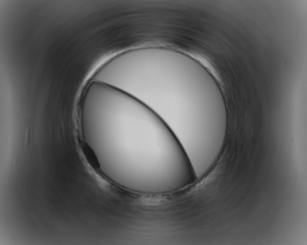 X0000086791046200705041544