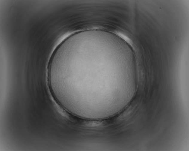 X0000086791047200705041544