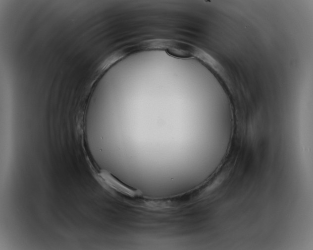 X0000086791049200705041544