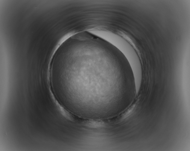 X0000086791050200705041544