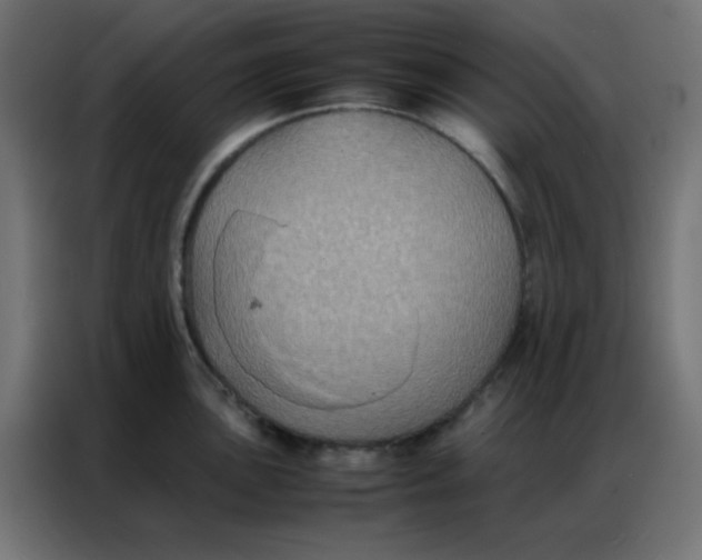 X0000086791051200705041544