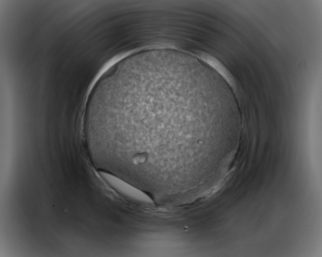 X0000086791052200705041544