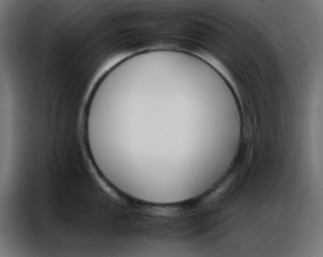 X0000086791053200705041544