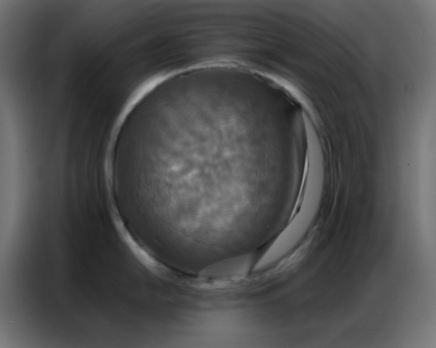 X0000086791054200705041544