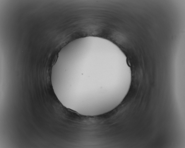 X0000086791058200705041544