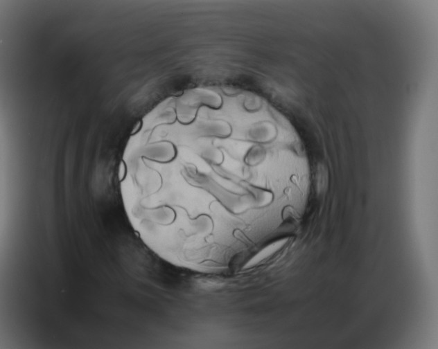 X0000086791059200705041544