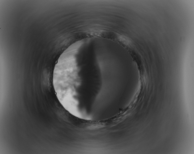 X0000086791060200705041544