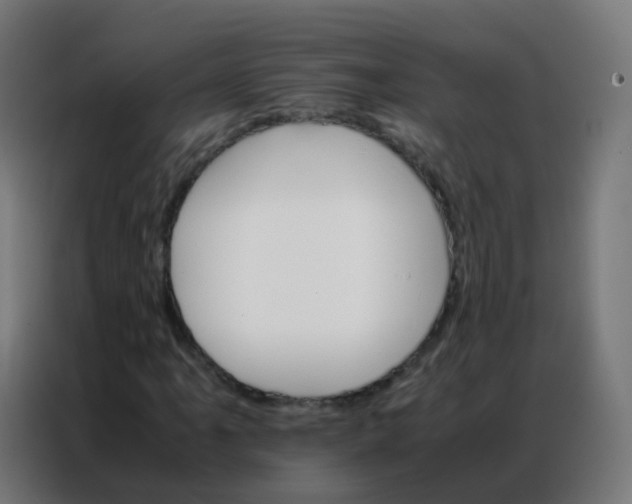 X0000086791061200705041544