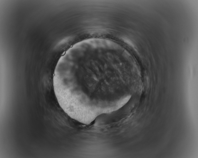 X0000086791063200705041544