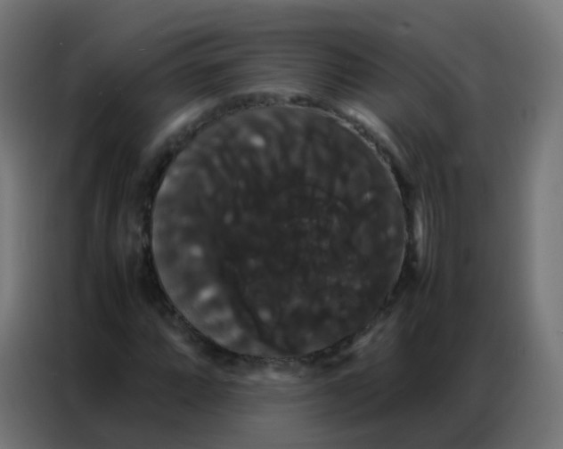 X0000086791064200705041544