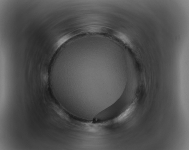 X0000086791065200705041544