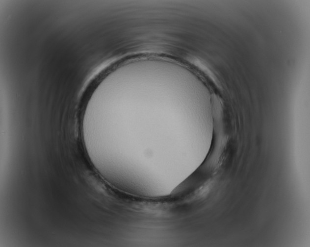 X0000086791069200705041544