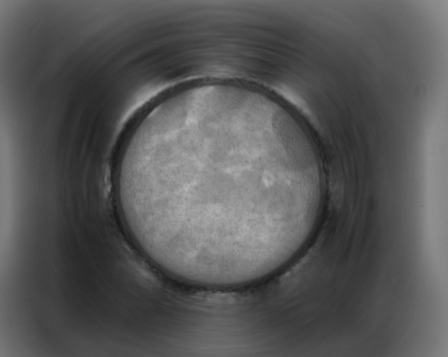 X0000086791070200705041544