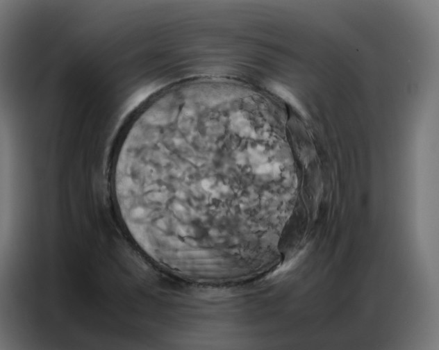 X0000086791071200705041544