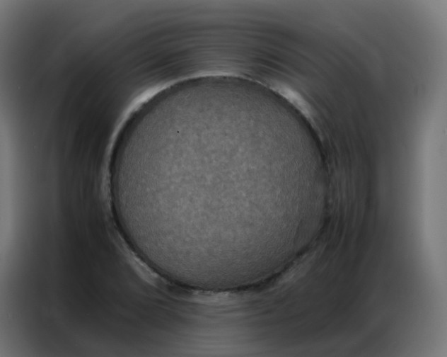 X0000086791072200705041544