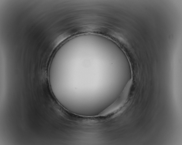 X0000086791073200705041543