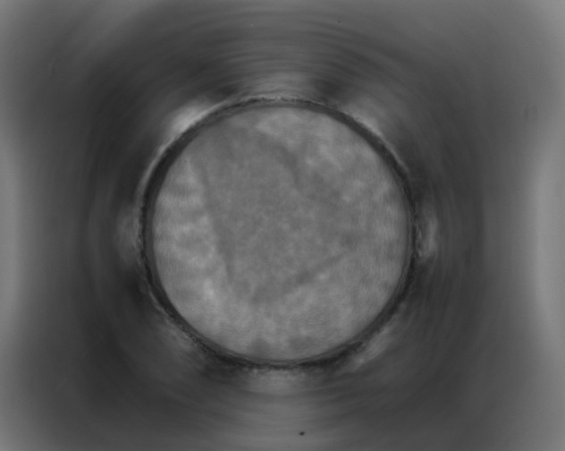 X0000086791074200705041543