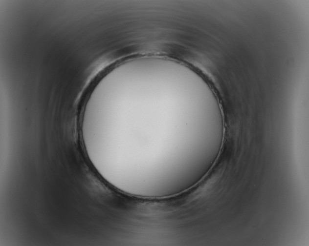 X0000086791075200705041543